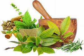 Ayurveda Treatment